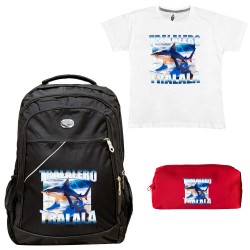 ΠΑΙΔΙΚΟ ΣΧΟΛΙΚΟ ΣΕΤ ΤΣΑΝΤΑ-ΚΑΣΕΤΙΝΑ + ΔΩΡΟ T-SHIRT TRALALERO